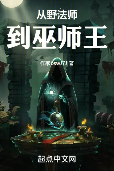 从野法师到巫师王