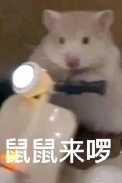 我是拉普兰德养的鼠鼠！